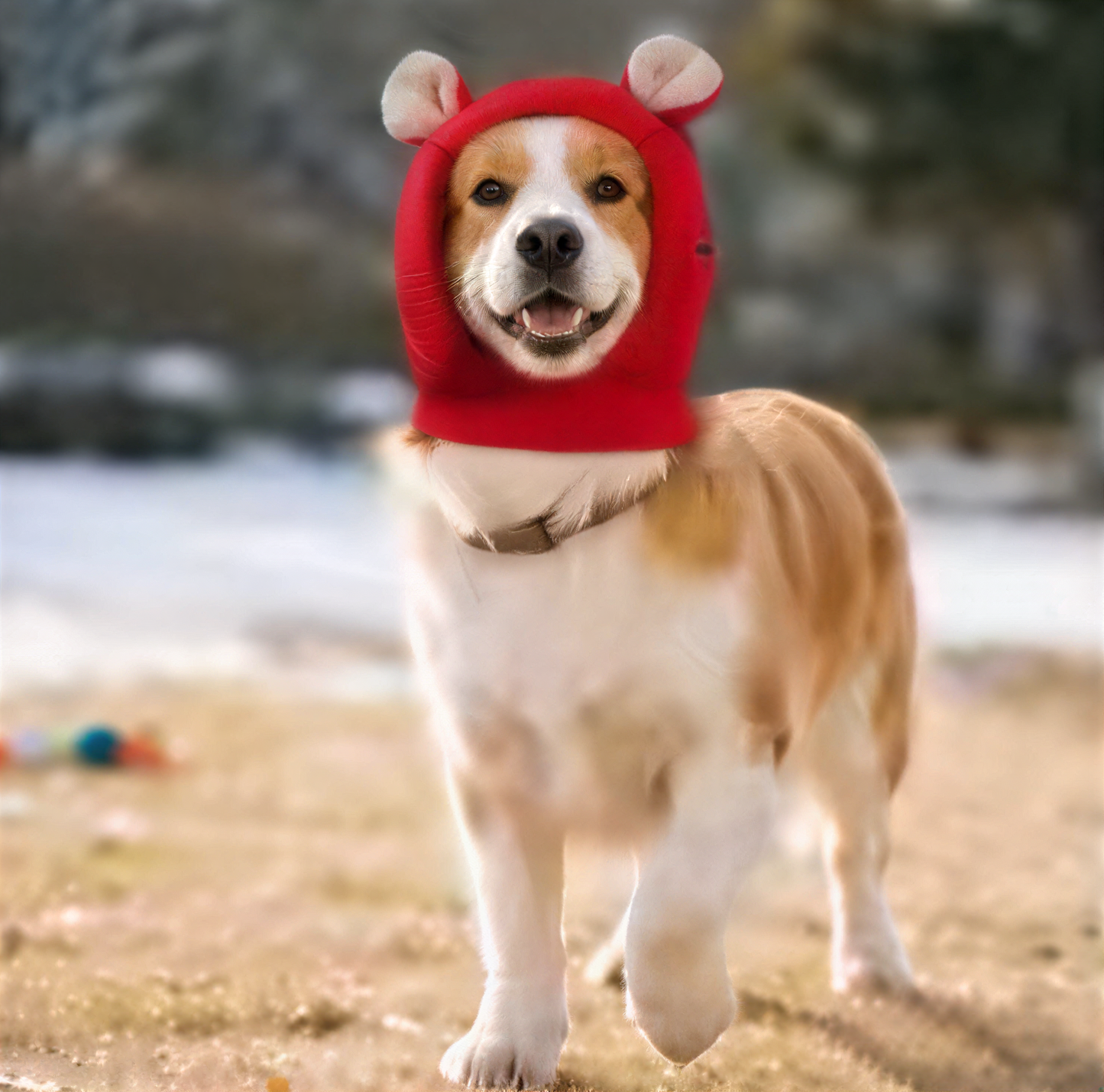 Winter Warm Dog Hat Ear Muffs Noise Protection Windproof Pet Ears Covers Knitted Earmuffs for Small Medium Puppy Accessories